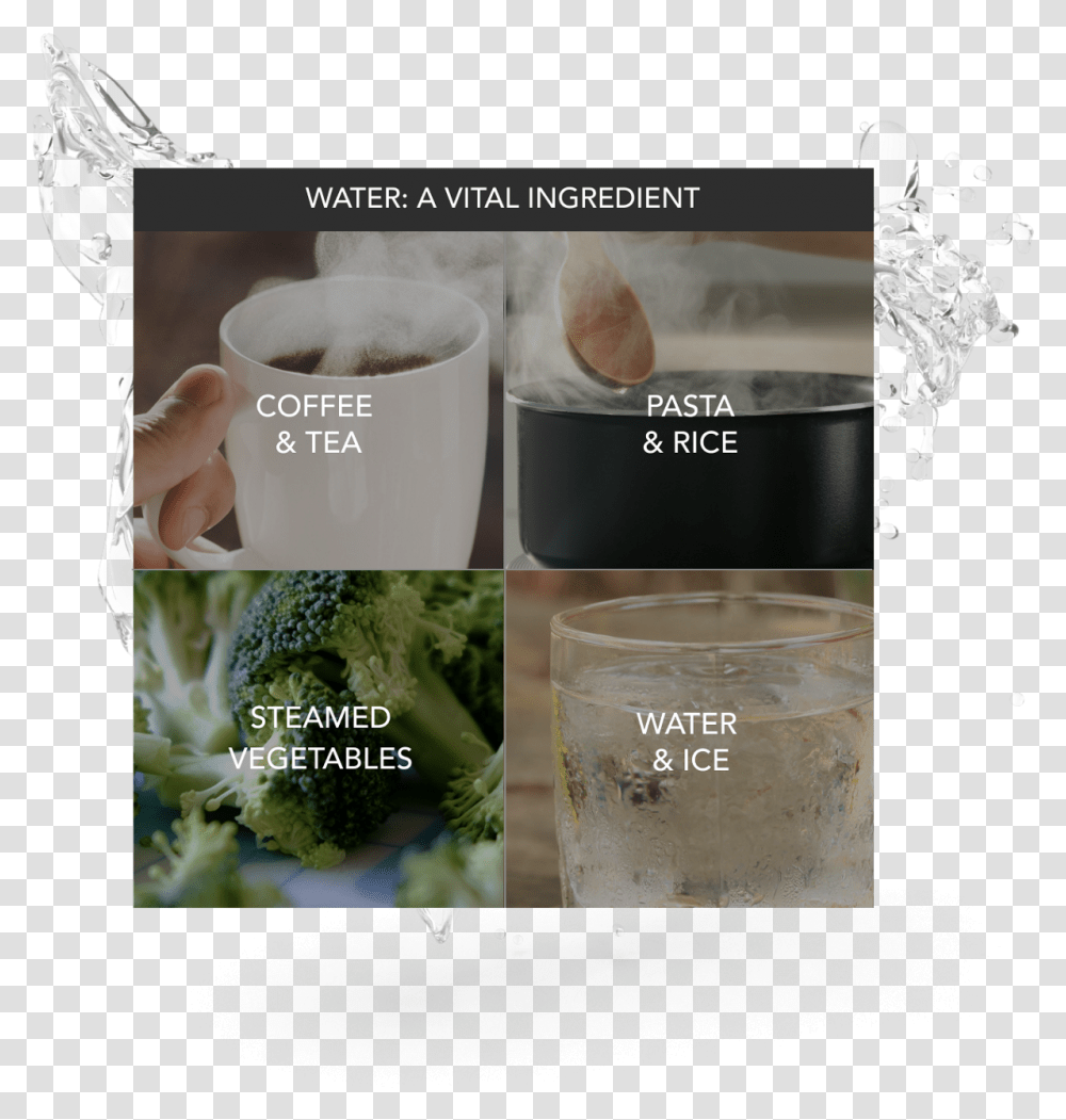 Pictures And Icons Representing Coffee Amp Tea Pasta Chlorophyta, Plant, Vegetable, Food, Broccoli Transparent Png