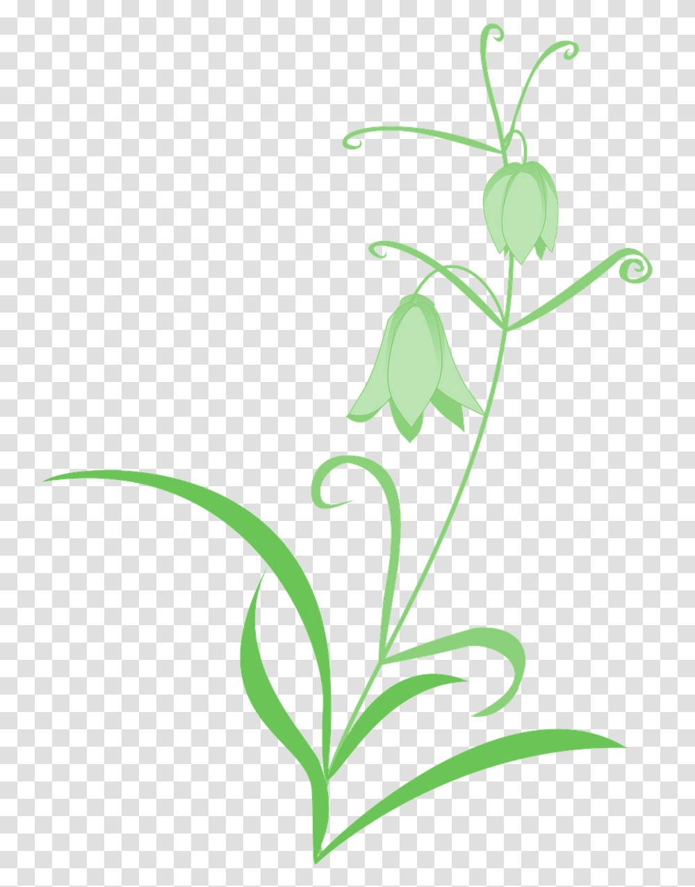 Pictures Free Photos, Plant, Flower, Blossom, Floral Design Transparent Png