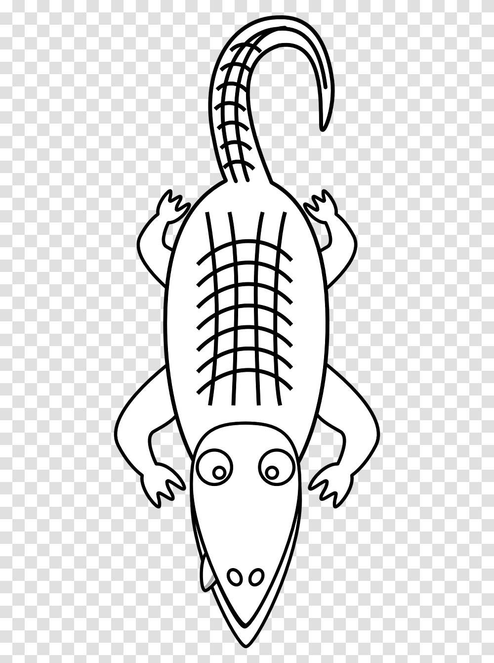 Pictures Of Alligator Free Download Clip Art Alligator Clip Art, Stencil Transparent Png