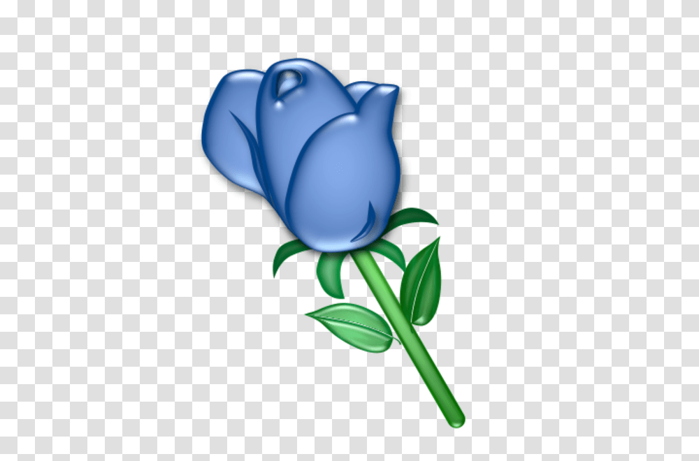 Pictures Of Blue Roses Clipart, Flower, Plant, Blossom, Petal Transparent Png