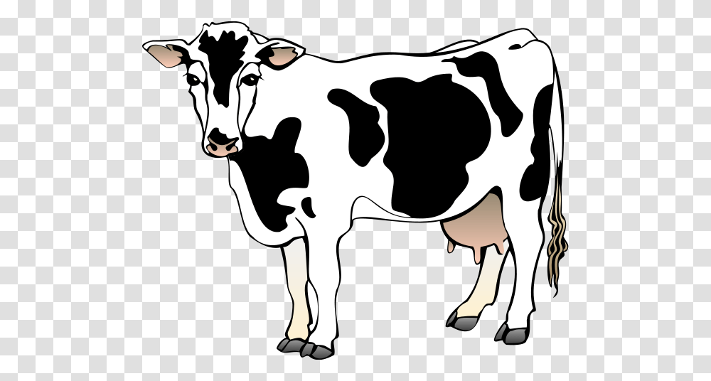Pictures Of Cartoon Cows Image Group, Cattle, Mammal, Animal, Dairy Cow Transparent Png