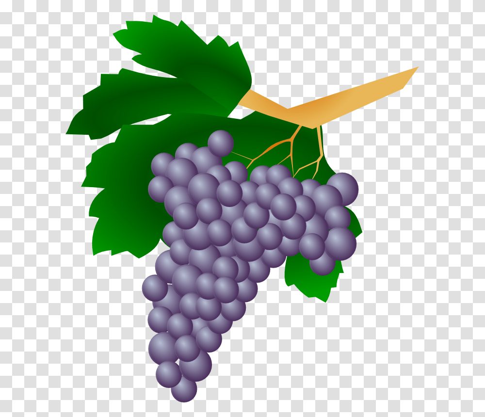 Pictures Of Grapes, Fruit, Plant, Food Transparent Png