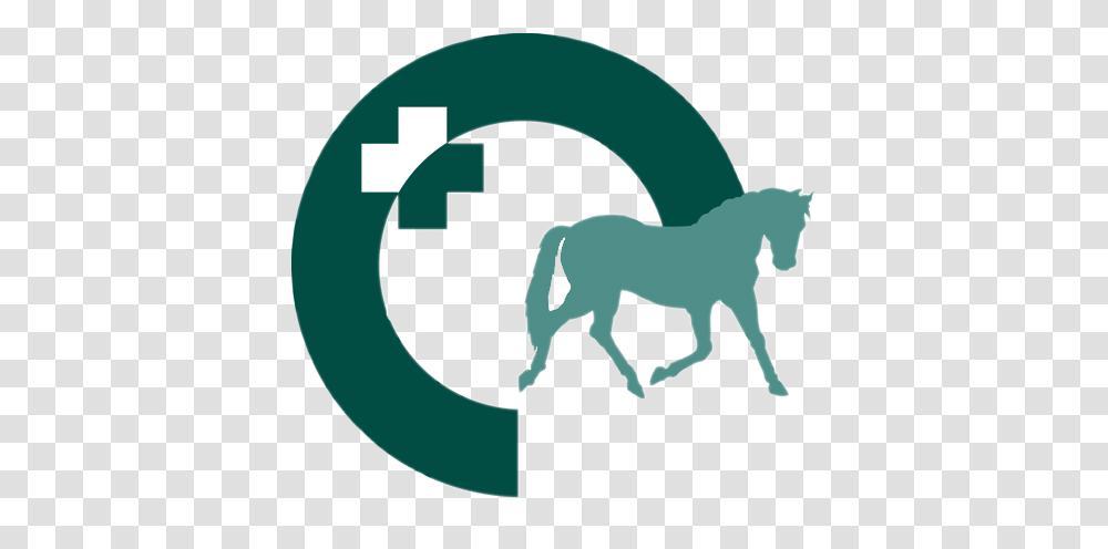 Pictures Of Horse Veterinarian Symbol, Recycling Symbol, Animal, Mammal, Advertisement Transparent Png