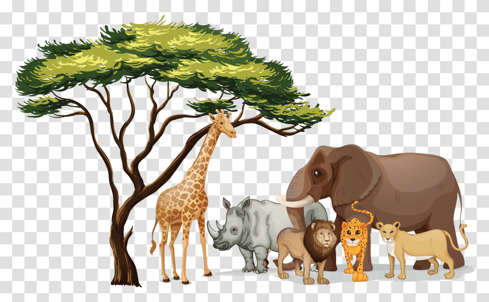 Pictures Of Jungle Animals African Animals Clipart, Giraffe, Wildlife, Mammal, Cattle Transparent Png
