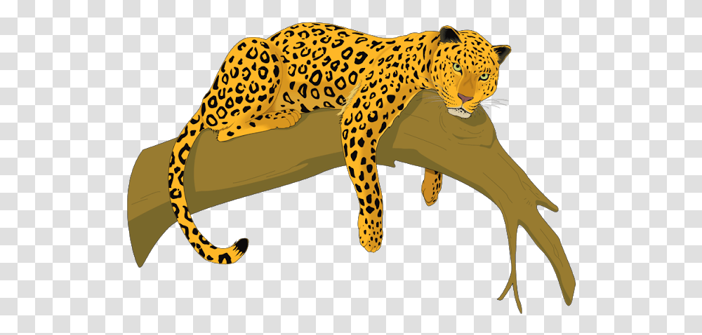 Pictures Of Leopards In Trees Leopardcheetah Free Jaguar Clipart, Panther, Wildlife, Mammal, Animal Transparent Png
