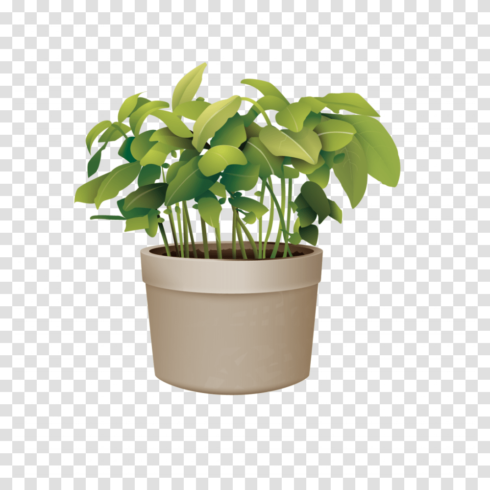 Pictures Of Potted Plants Best Of Flowerpot Plant Vector Potted Plant Background, Leaf, Blossom, Green, Anthurium Transparent Png