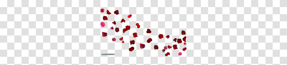 Pictures Of Red Rose Petals, Gemstone, Jewelry, Accessories, Accessory Transparent Png