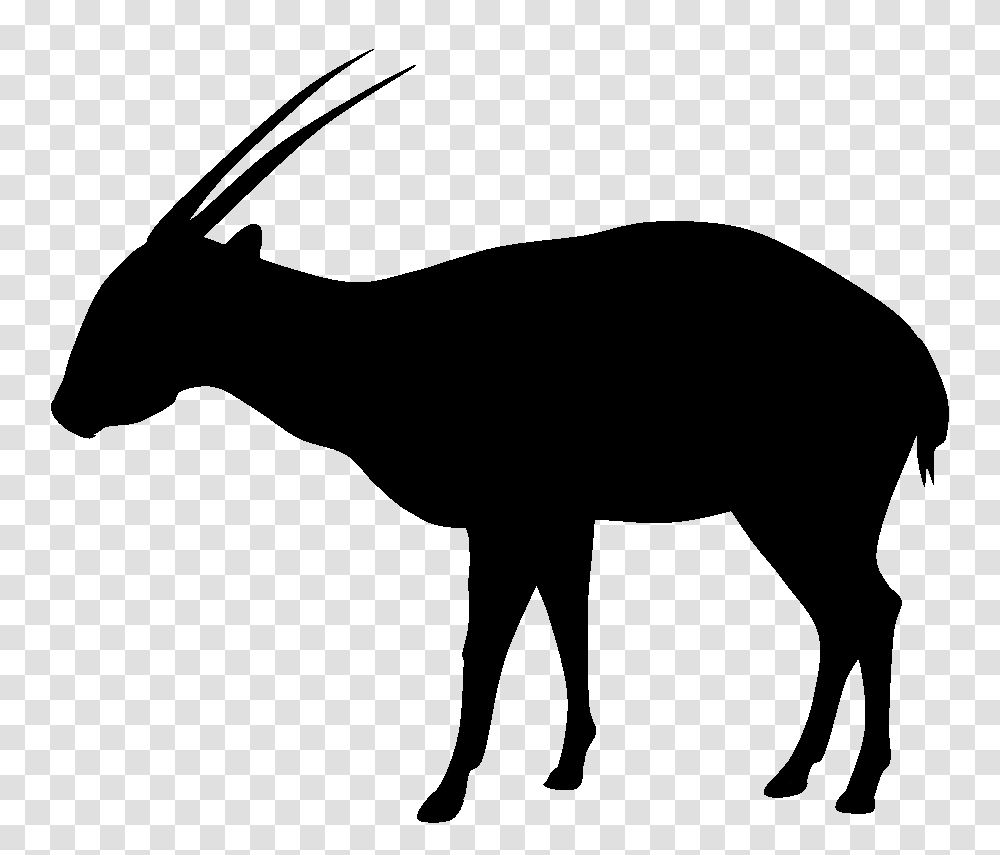 Pictures Of Show Pig Silhouette, Antelope, Wildlife, Mammal, Animal Transparent Png