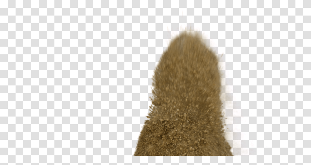 Pictures V Christmas Tree, Animal, Mammal, Fur, Hedgehog Transparent Png