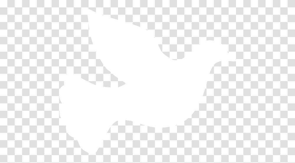 Pidgeons Clipart Dove Outline, White, Texture, White Board Transparent Png