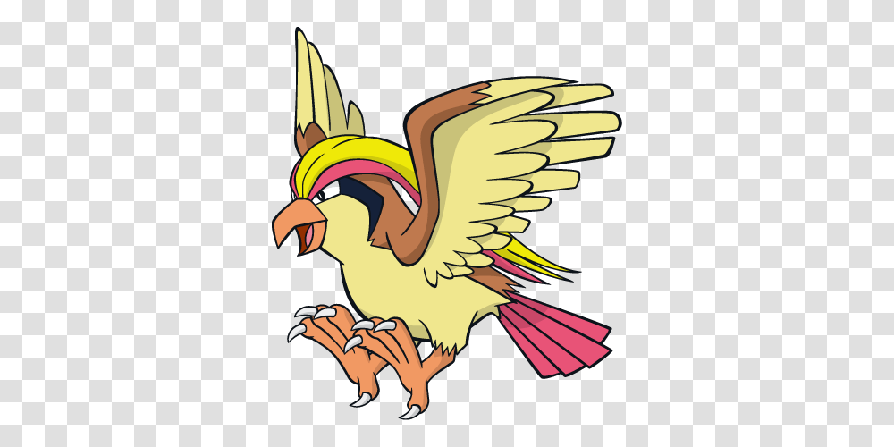 Pidgeot, Animal, Bird, Dodo, Flamingo Transparent Png