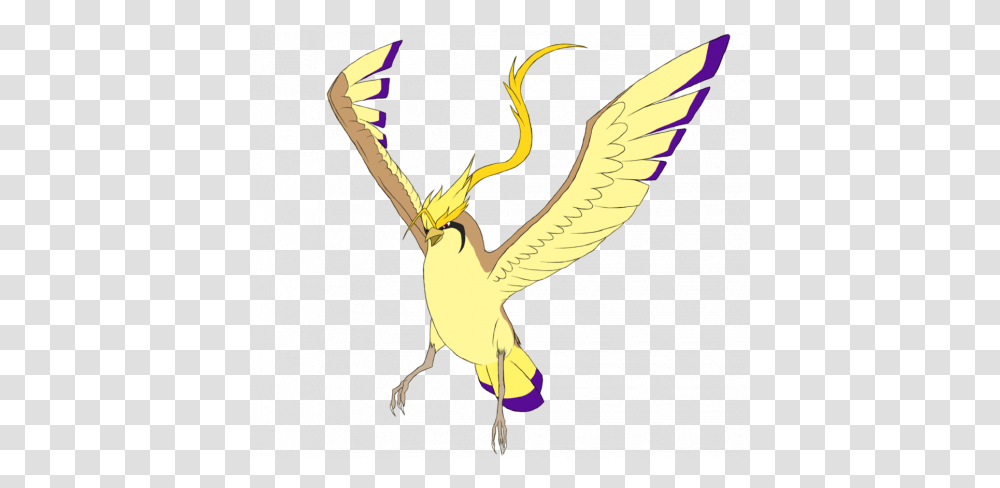 Pidgeot, Bird, Animal, Insect, Invertebrate Transparent Png