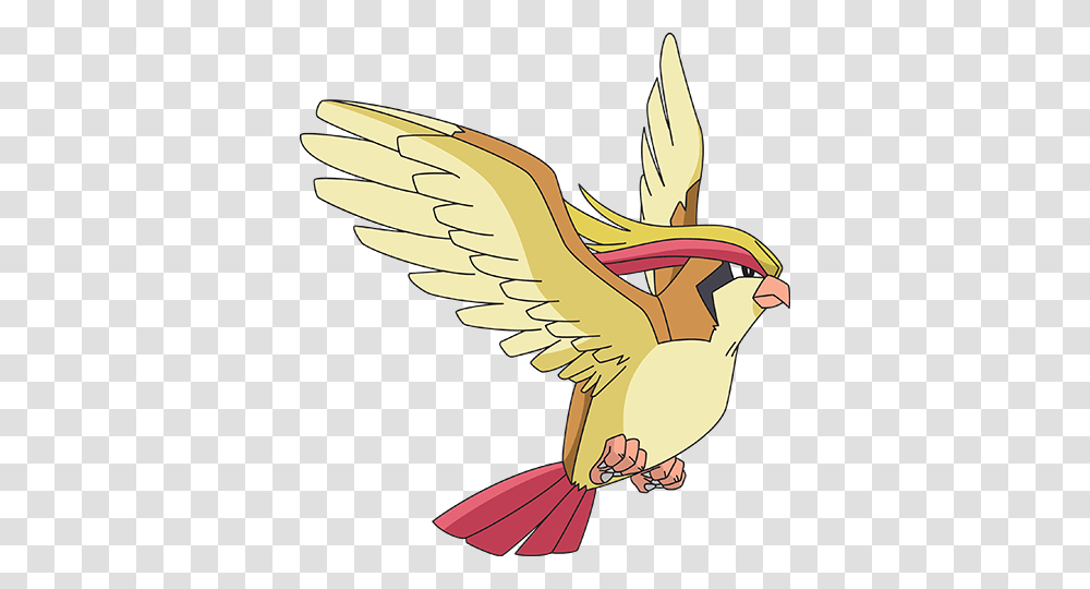 Pidgeot, Kite Bird, Animal, Eagle, Flying Transparent Png