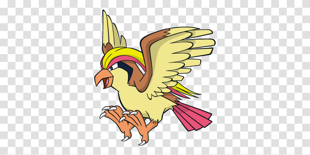 Pidgeot Pidgeot Pokemon, Animal, Bird, Dodo, Flamingo Transparent Png