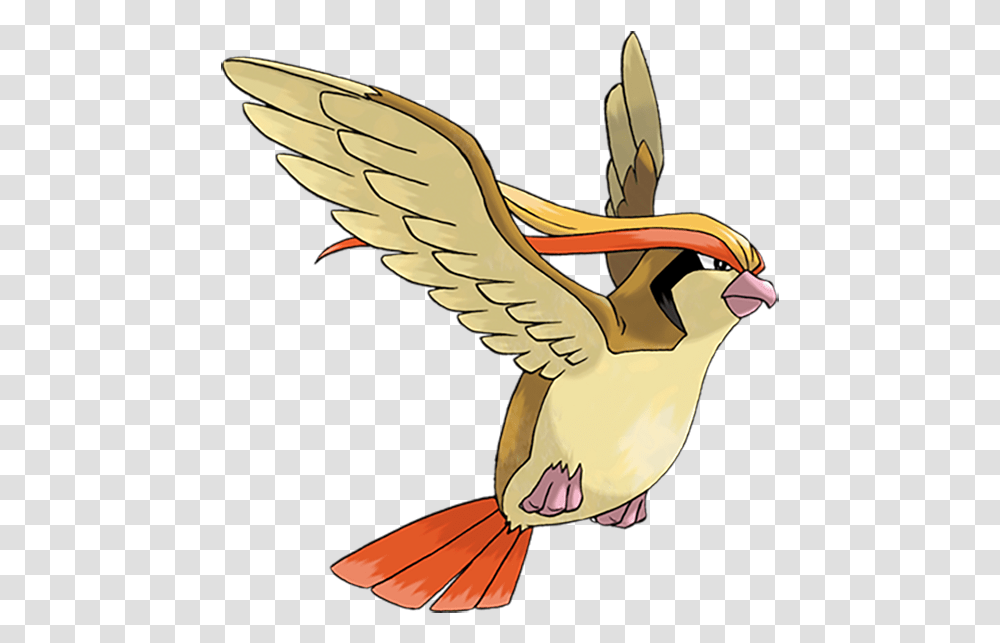 Pidgeot Pok Mon Overdose Pidgeot Pokemon, Bird, Animal, Pelican, Puffin Transparent Png