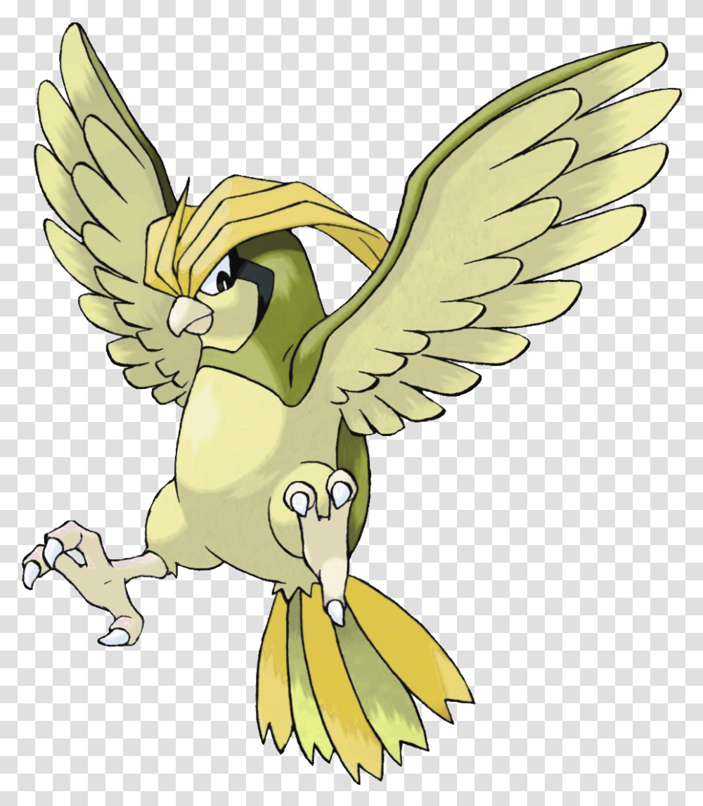 Pidgeot Pokemon Pidgeotto, Eagle, Bird, Animal, Hawk Transparent Png