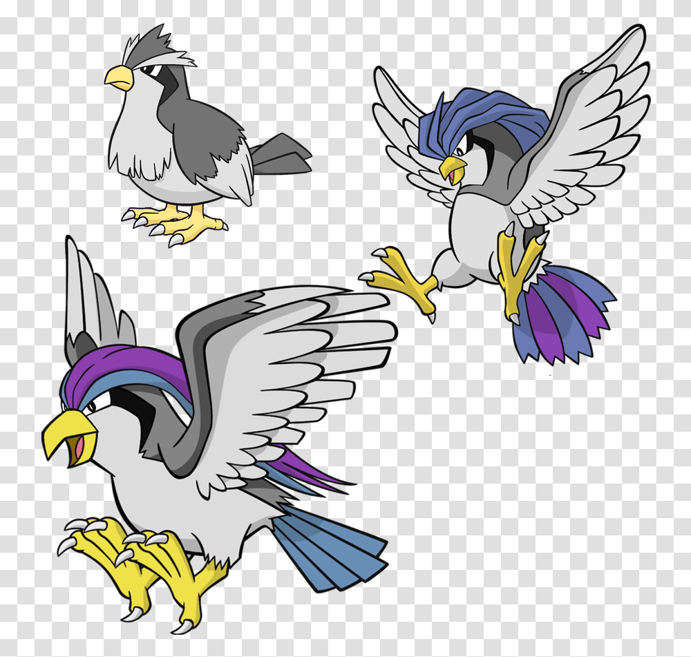 Pidgeot Pokemondb, Eagle, Bird, Animal, Flying Transparent Png