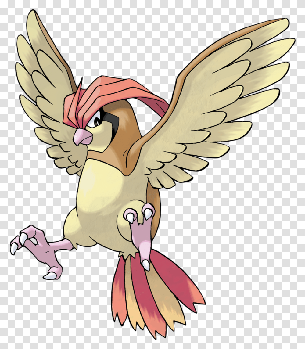 Pidgeotto, Bird, Animal, Angel Transparent Png