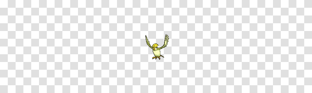 Pidgeotto, Pendant Transparent Png