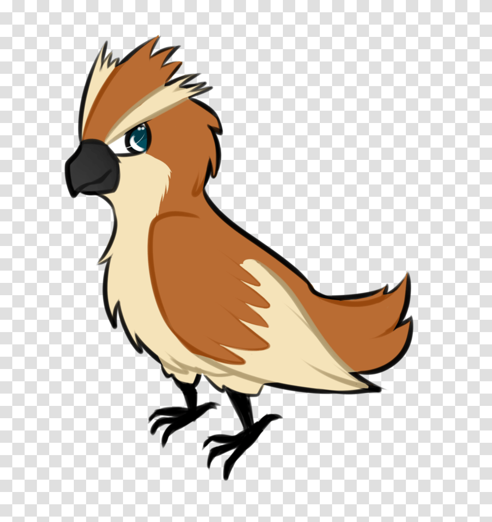 Pidgey, Animal, Bird, Hawk, Kite Bird Transparent Png