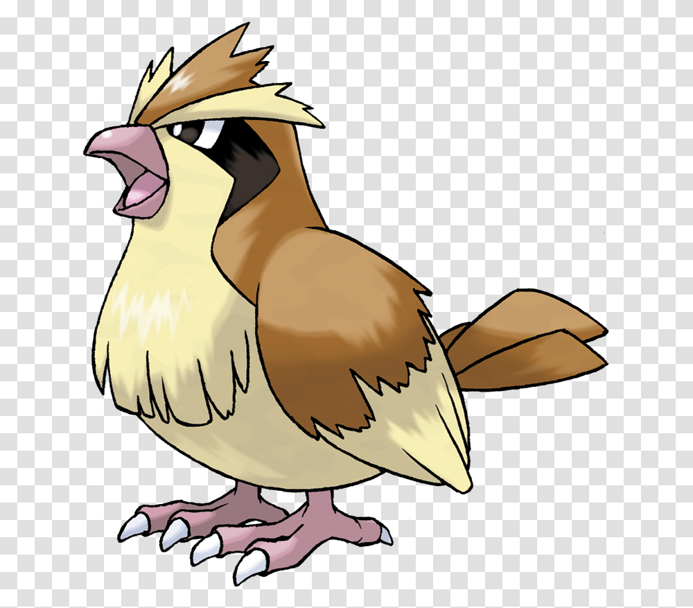 Pidgey, Bird, Animal, Dodo Transparent Png