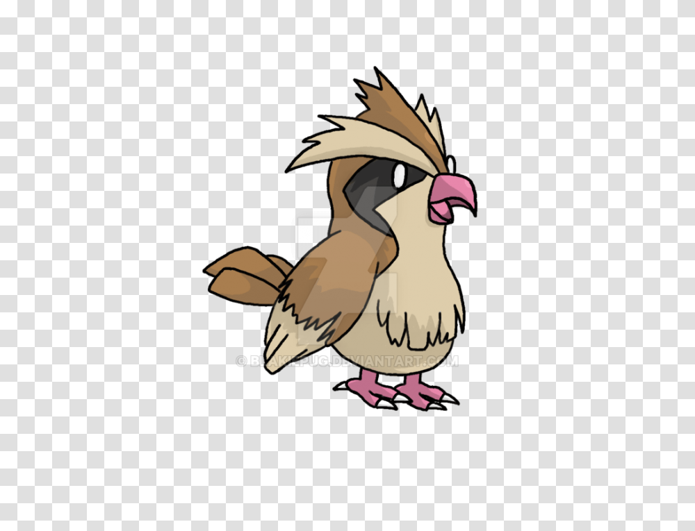 Pidgey, Bird, Animal, Finch, Fowl Transparent Png