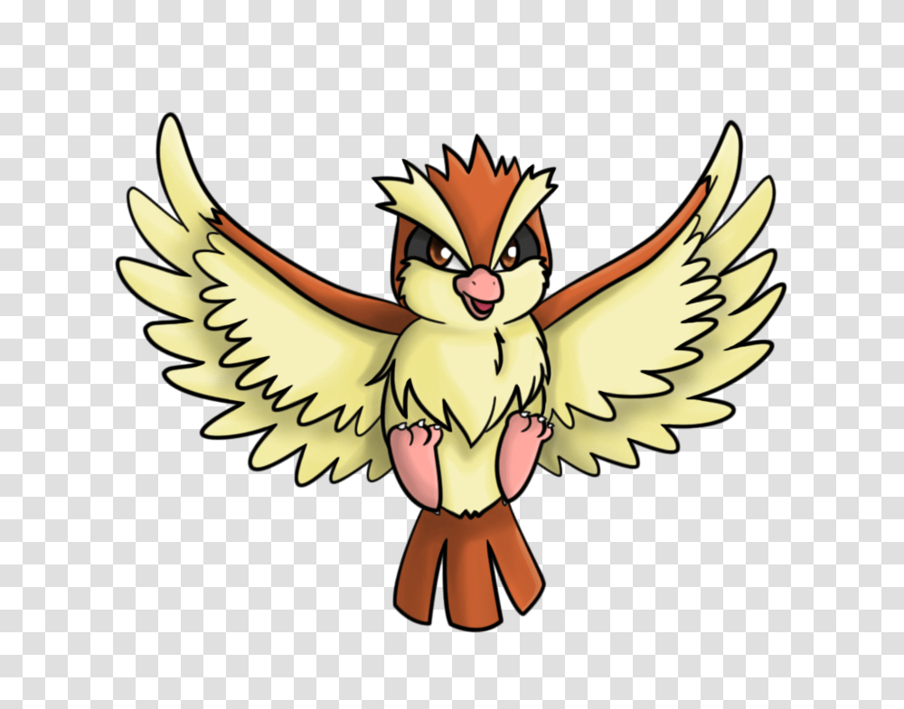 Pidgey, Eagle, Bird, Animal Transparent Png