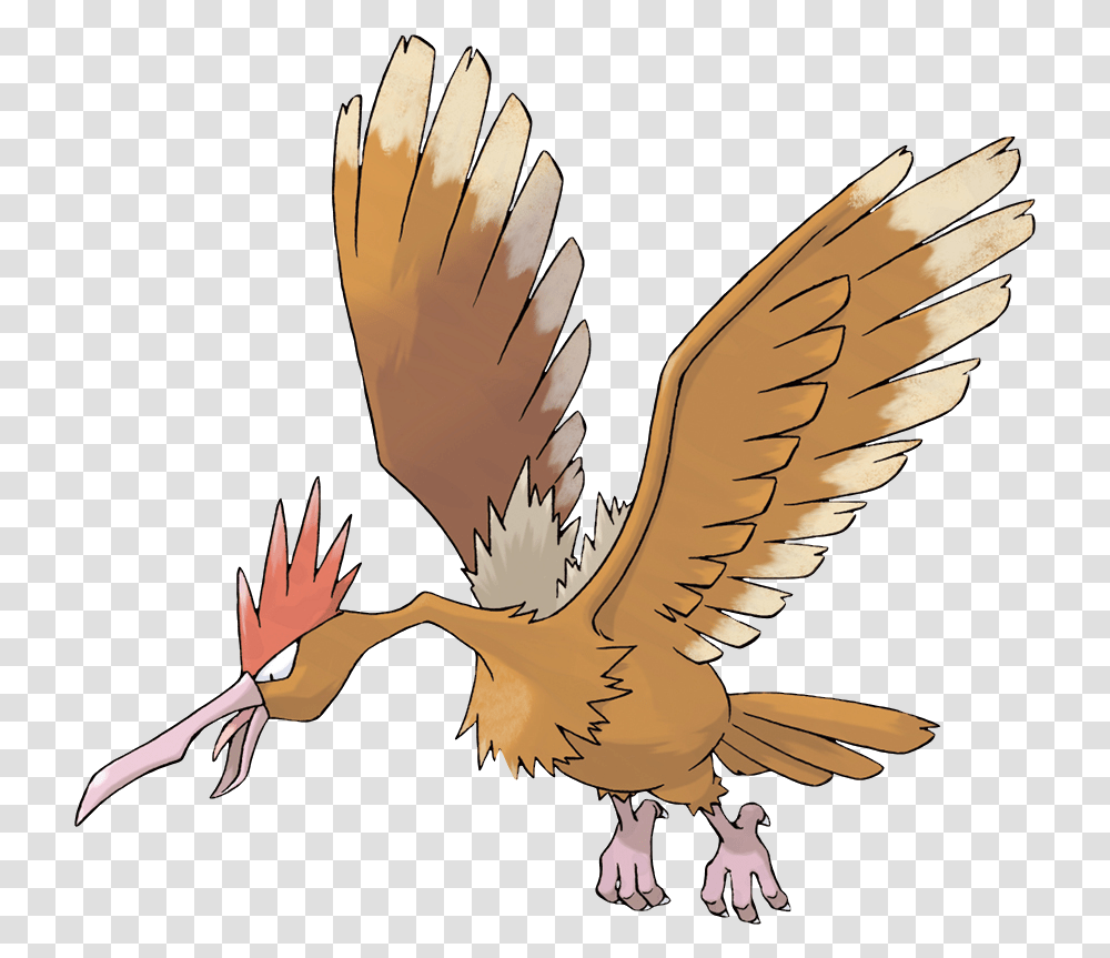 Pidgey Fearow Pokemon, Vulture, Bird, Animal, Eagle Transparent Png