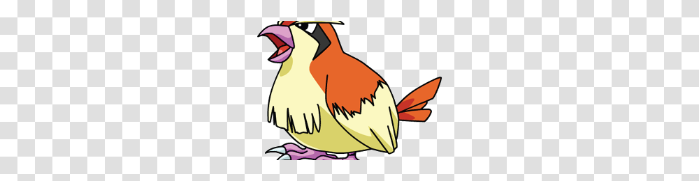 Pidgey Image, Bird, Animal, Cardinal Transparent Png