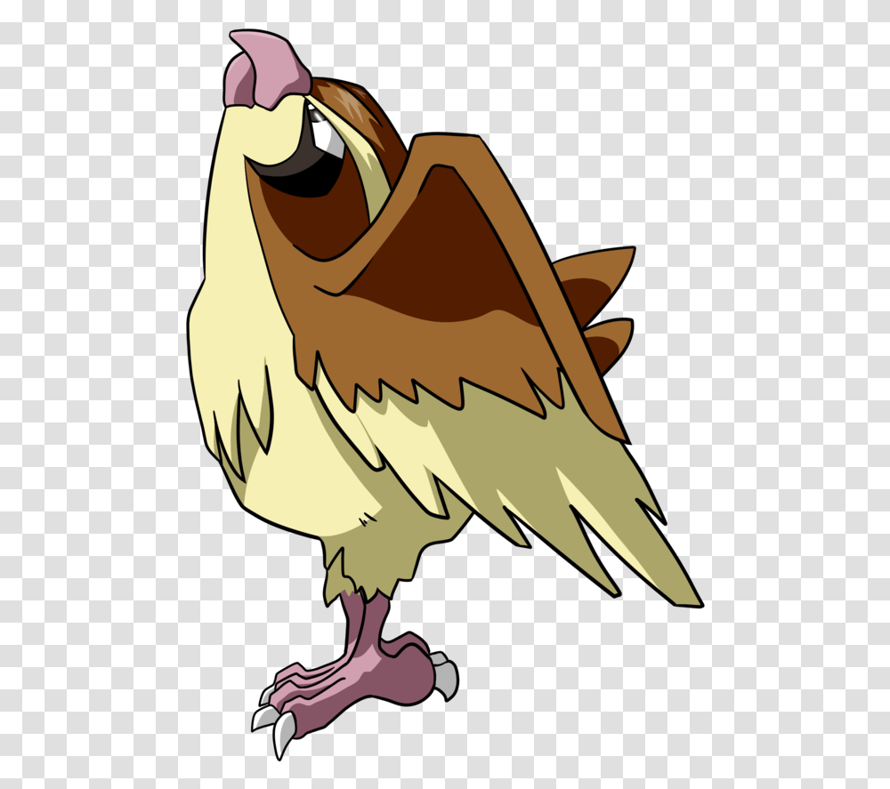 Pidgey Pidgey Pidgey, Pelican, Bird, Animal, Vulture Transparent Png