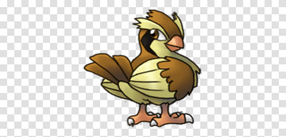 Pidgey Pokemon, Helmet, Clothing, Apparel, Animal Transparent Png