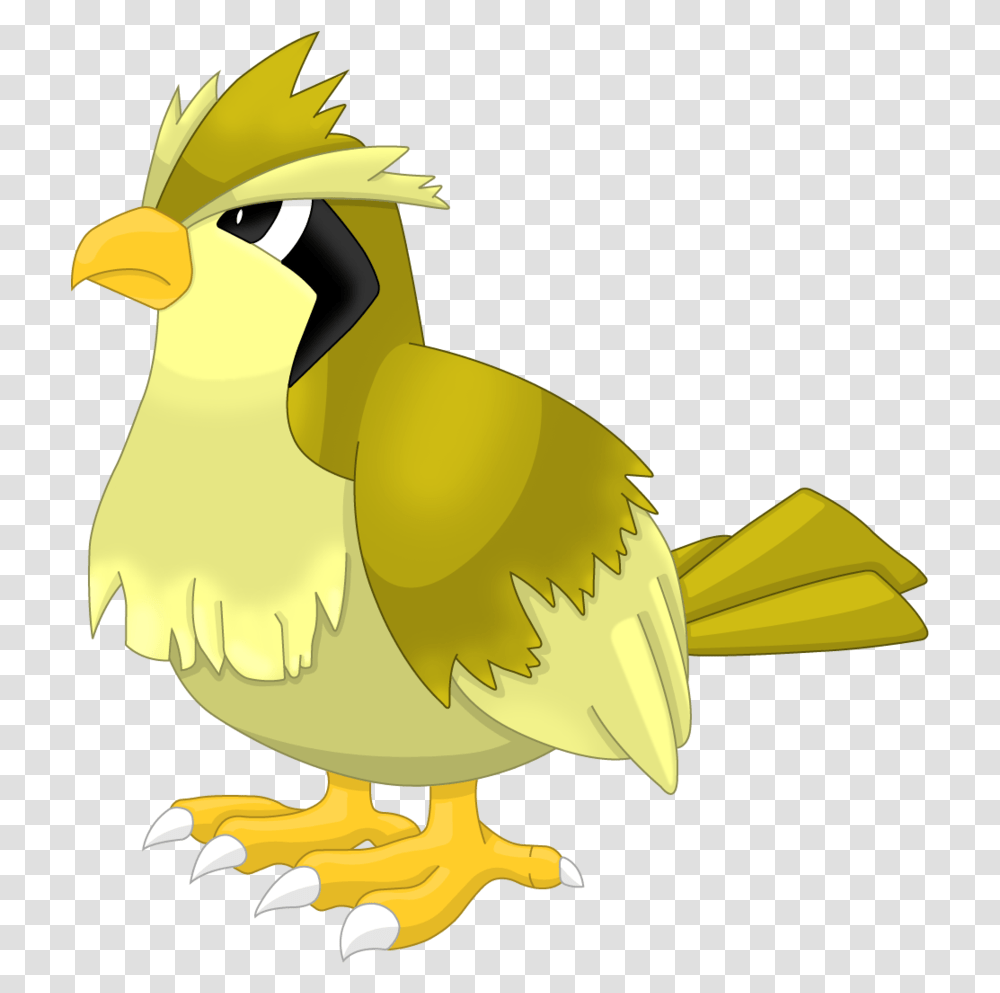 Pidgey Shiny Pokemon Shiny Pidgey, Bird, Animal, Beak Transparent Png