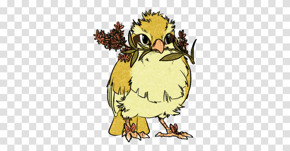 Pidgey Sun And Moon Pokemon Fan Art, Drawing, Doodle, Bird, Animal Transparent Png