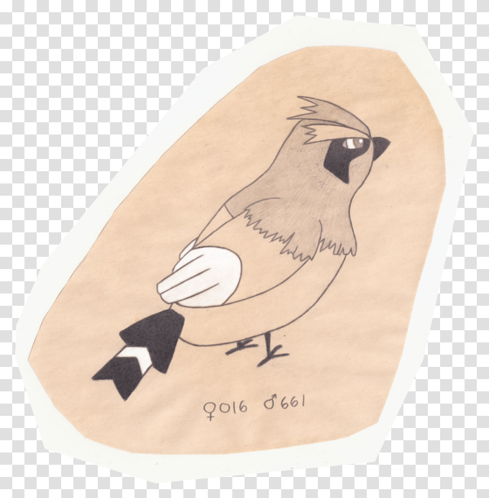 Pidgey Waxwing, Bird, Animal, Drawing, Art Transparent Png