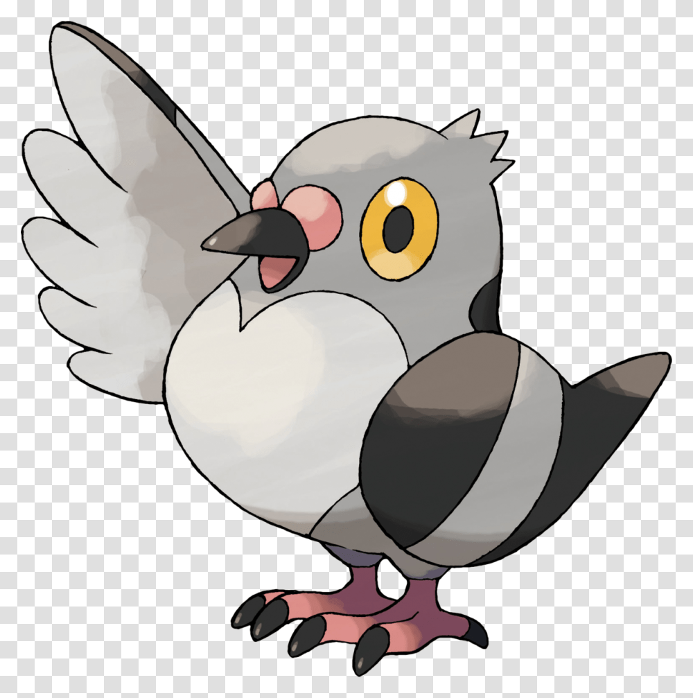 Pidove, Bird, Animal, Beak, Pigeon Transparent Png