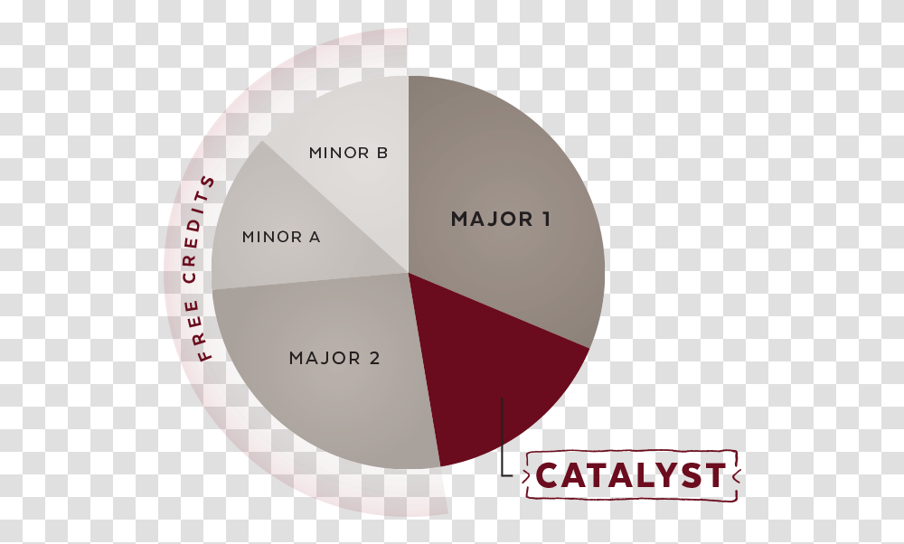 Pie Chart Example Of How Much Time Catalyst Takes Of Circle, Tape, Plot, Diagram Transparent Png