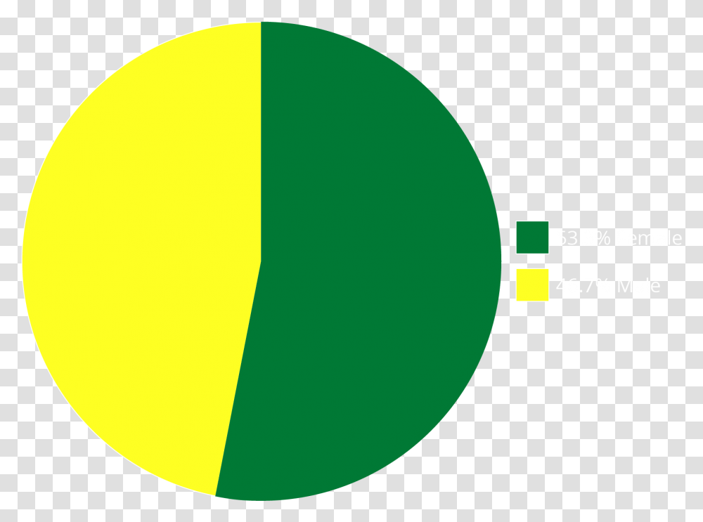 Pie Chart Of Enrollment Of Students By Sex University Of Oregon Total Enrollment, Balloon, Logo, Trademark Transparent Png