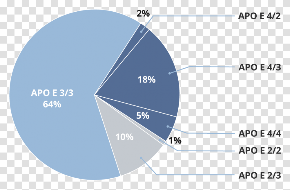 Pie Chart Showing Percentages Of Apo E Gene Types Apoe Genotype, Disk, Nature, Outer Space, Astronomy Transparent Png