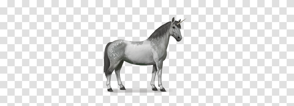 Pie Tb Gr Pml, Fantasy, Horse, Mammal, Animal Transparent Png