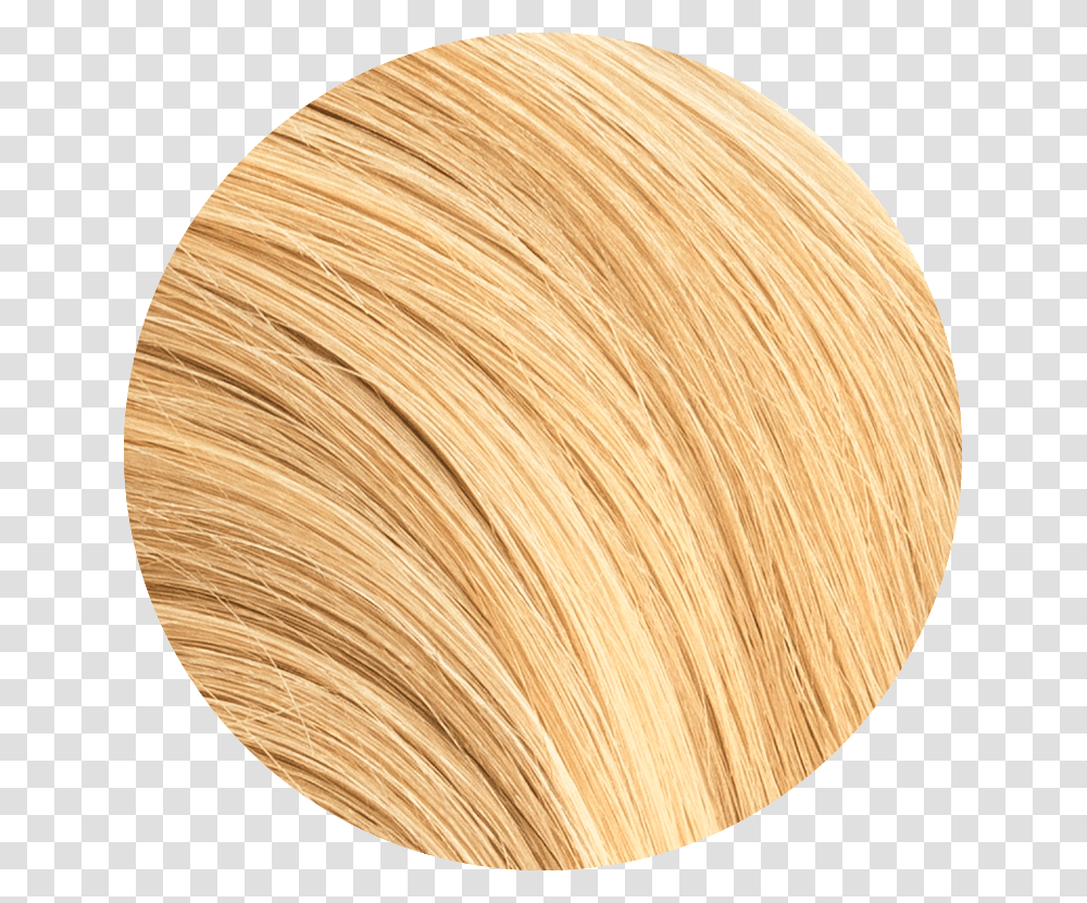 Piece Tape In Pack Blond, Wood, Lamp, Clam, Seashell Transparent Png