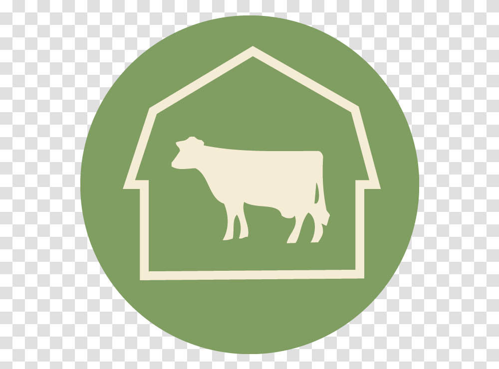 Piedmont Farm Animal Refuge Pink Circle, Mammal, Cattle, Cow, Buffalo Transparent Png