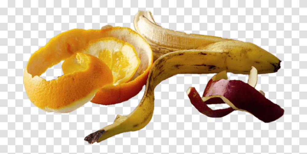 Piel De Frutas Pluchures Fruits Et Lgumes, Peel, Banana, Plant, Food Transparent Png