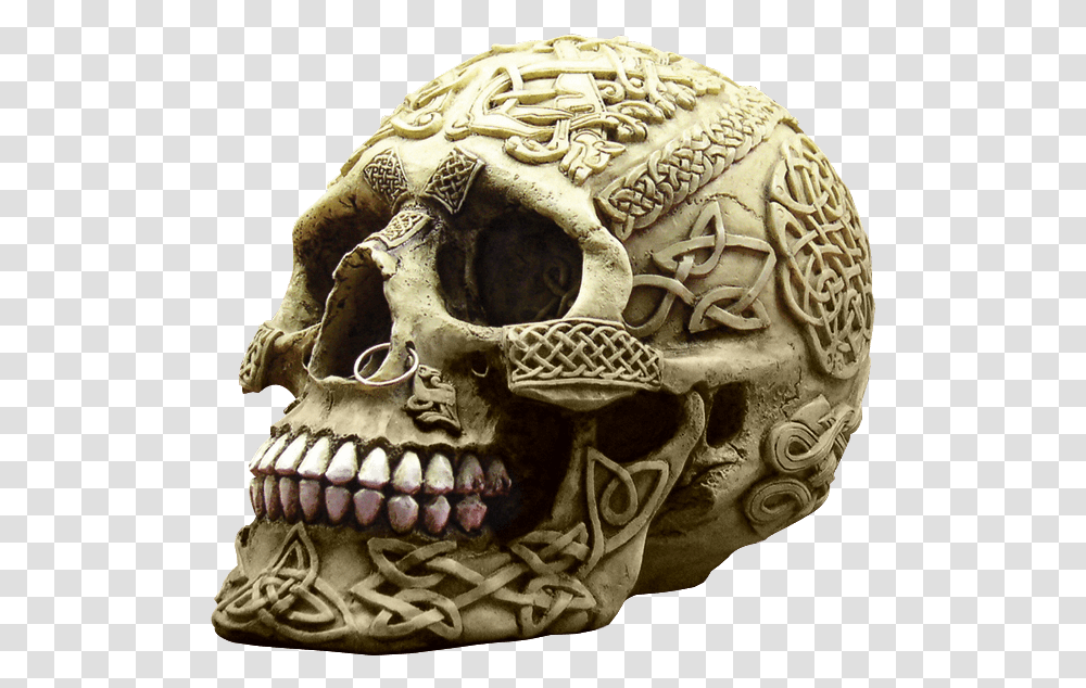 Pierced Celtic Tribal Skull Nose On A Skull, Archaeology, Ornament, Sculpture Transparent Png