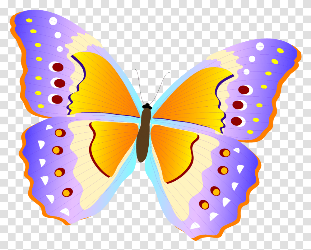 Pieridae, Butterfly, Insect, Invertebrate, Animal Transparent Png