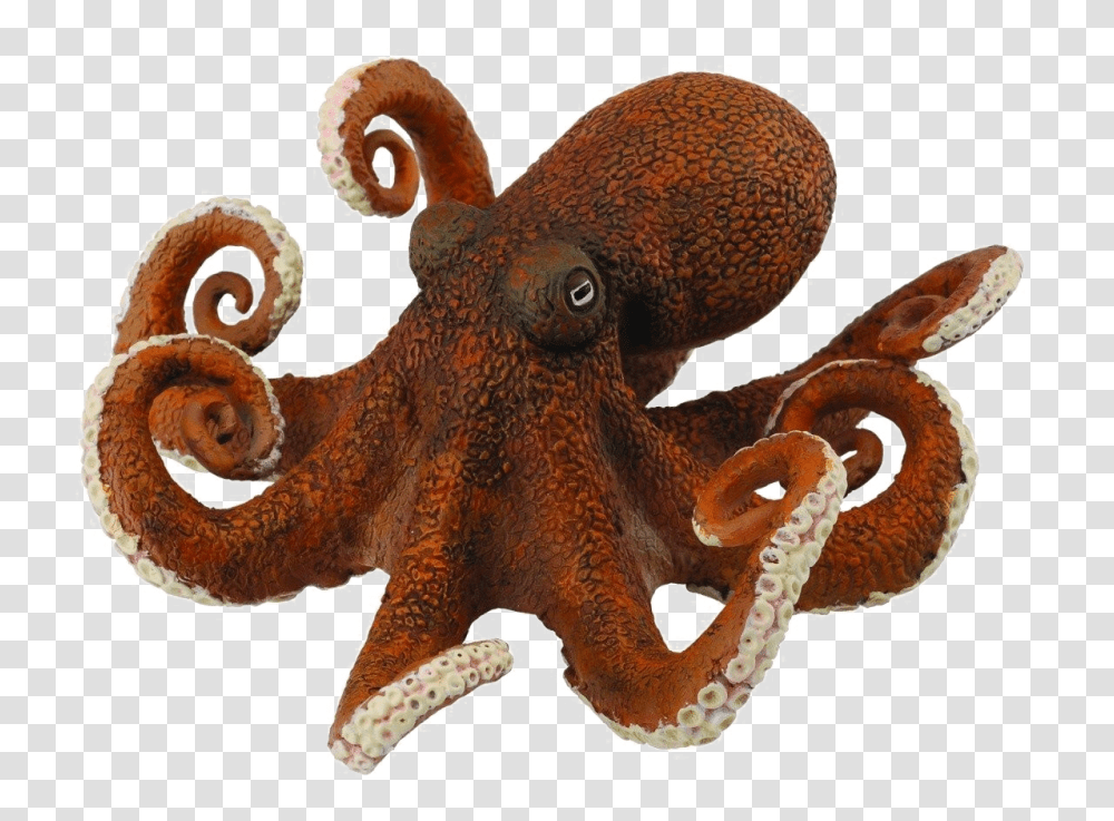Pieuvre Jouet, Octopus, Invertebrate, Sea Life, Animal Transparent Png