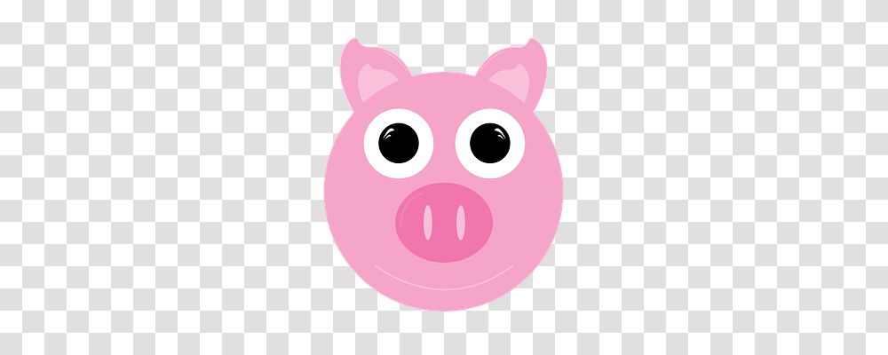 Pig Animals, Piggy Bank, Mammal Transparent Png