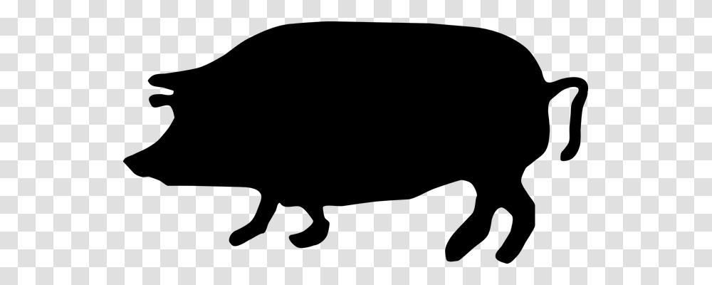 Pig Animals, Gray, World Of Warcraft Transparent Png