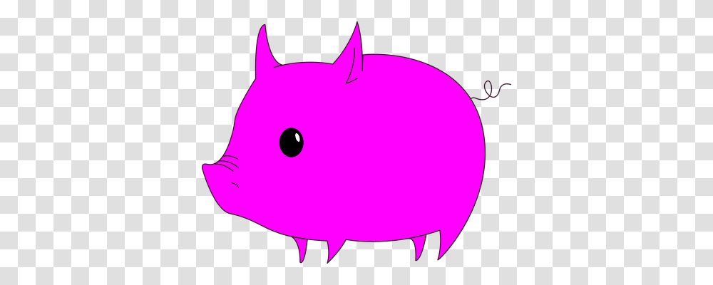 Pig Animals, Piggy Bank, Person, Human Transparent Png