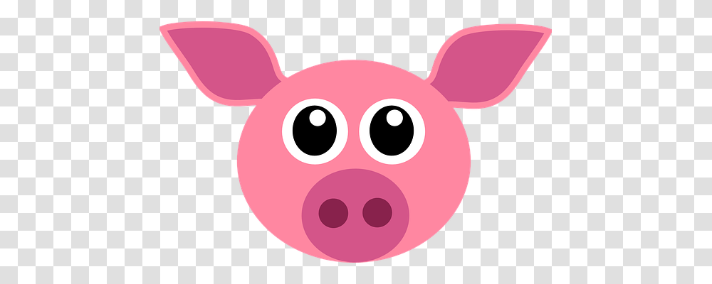 Pig Animals, Piggy Bank, Mammal, Snout Transparent Png