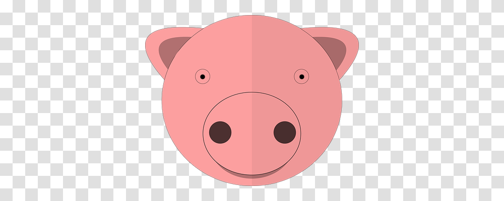 Pig Animals, Piggy Bank, Disk, Giant Panda Transparent Png